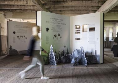 Das Ausstellungsmodul "Sauerland".<br>Foto: BOK+Gärtner GmbH / Aeneias Panagiotidou"