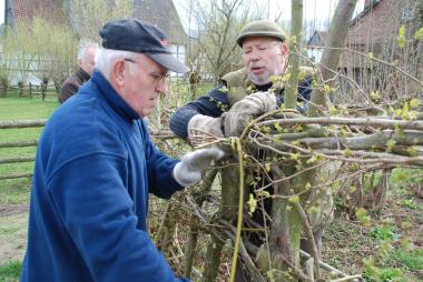 Die richtige Bindetechnik ist entscheidend: Der Heimatverein Nieheim zeigt am kommenden Wochenende im LWL-Freilichtmuseum Detmold, wie eine Hecke geflochten wird.<br>Foto: LWL