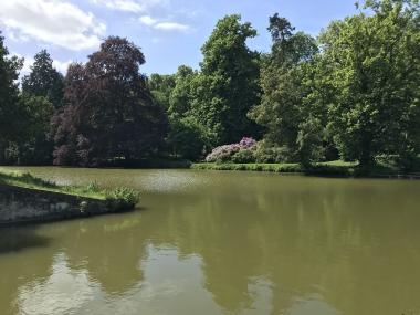 Parkanlage von Haus Stapel, Blick auf die sogenannte Blumeninsel.<br>Foto: Elke Lorenz 