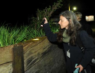 Die Nachtsafari verspricht spannende Entdeckungen.<br>Foto: LWL