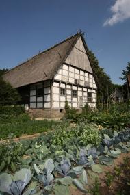Welche traditionellen Gemüsesorten eignen sich für den professionellen Anbau? Dieser Frage widmet sich eine Tagung im LWL-Freilichtmuseum Detmold.<br>Foto: LWL/Jähne