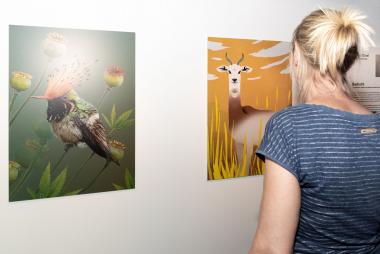 Die Bilderausstellung "Bedroht" ist ab dem 9. Juli im LWL-Museum für Naturkunde zu sehen.<br>Foto: LWL/Steinweg