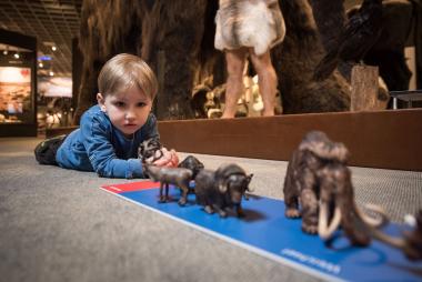 Die Tiere der Eiszeit stehen im Mittelpunkt eines Ferienangebotes des LWL-Museums für Naturkunde.<br>Foto: LWL/Steinweg