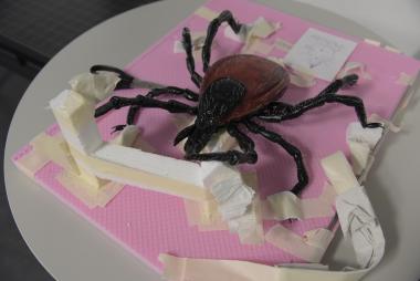 Die Modelle wurden im 3D-Drucker gefertigt. Anschließend geschliffen, bemalt und zusammengesetzt.<br>Foto: LWL/Heimann