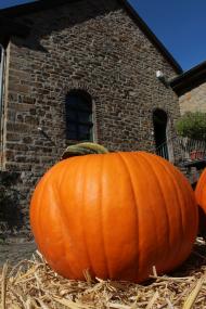 Der Ökomarkt lockt mit seinem regionalen Angebot zum 9. Mal in das LWL-Industriemuseum Zeche Nachtigall.<br>Foto: Anna Ehlert 