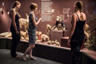 Eintritt frei im LWL-Museum für Naturkunde. Da lohnt ein Besuch der Sonderausstellung "Das Gehirn".<br>Foto: LWL/Steinweg