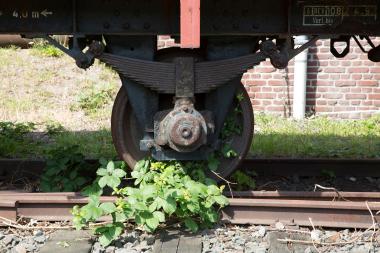 Die Natur erobert sich den stillgelegten Wagen zurück.<br>Foto: LWL 