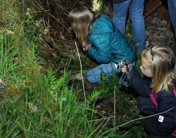 Die Nachtsafari verspricht spannende Entdeckungen.<br>Foto: LWL/Appelhans