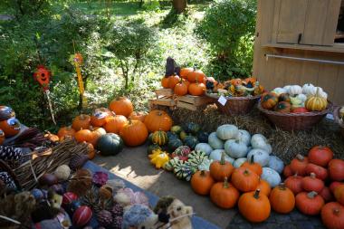 Das Herbstfest bietet viele Ideen für herbstliche Dekoration.<br>Foto: LWL