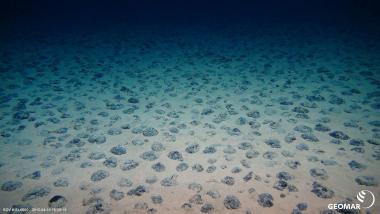Manganknollen, die in 4000 bis 6000 Meter Tiefe am Grund des Meeres liegen, enthalten begehrte Rohstoffe.<br>Foto: GEOMAR