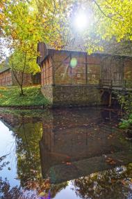 Zum letzten Mal in dieser Saison heißt es im LWL-Freilichtmuseum Detmold am Freitag "Museumswissenschaftler führen".<br>Foto: LWL/Jähne