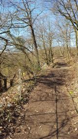 Wanderweg mit intakten Drahtseilhandläufen.<br>Foto: LWL/Haike Volz 