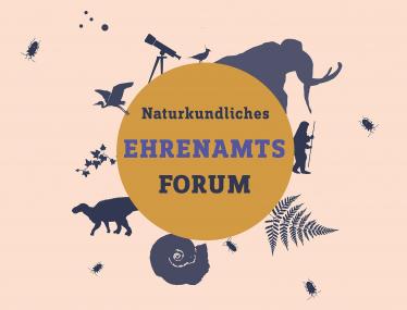 Titelbild Ehrenamtsforum.<br>Grafik: LWL/Lohmann