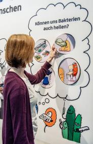 Das Zusammenleben in der Natur können die Besucher*innen in der neuen Ausstellung erforschen.<br>Foto: LWL/Steinweg