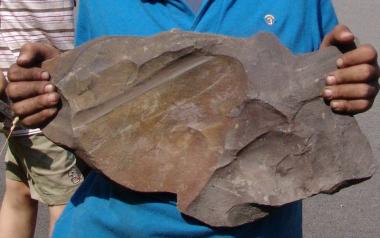 Mit etwas Glück finden die Teilnehmer in den Steinschichten am Ruhrtalhang fossile Abdrücke.&lt;br&gt;Foto: LWL 