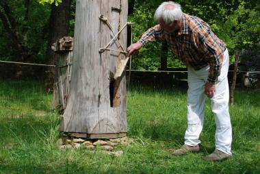 Letzte Nachzügler kehrt Museumsimker Ivo Blumenbach vorsichtig ein.<br>Foto: LWL