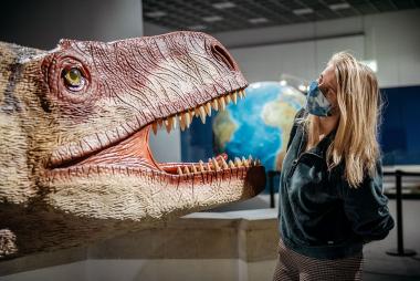 Ab/Seit dem 23.06 sind Führungen im LWL-Museum für Naturkunde wieder möglich.<br>Foto: LWL/Steinweg
