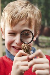 Am 8. August treffen sich im LWL-Museum für Naturkunde zum ersten Mal naturkundlich interessierte Kinder in der neuen AG Naturkukis<br>Foto: Oblonczyk/LWL