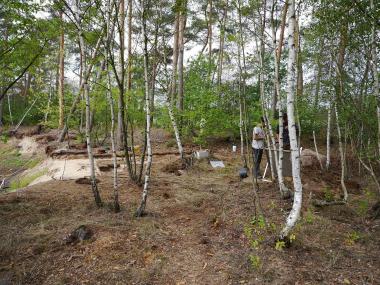 Der bei der Grabung abgearbeitete Sand wird gesiebt und sorgfältig auf Feuersteinfunde untersucht.<br>Foto: LWL/Borgmann
