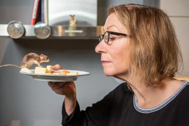 Bei dem Literarischen Rundgang nimmt die Schauspielerin Beate Reker im Planetarium die Beziehungen nicht nur von Menschen unter die Lupe.<br>Foto: LWL/Steinweg