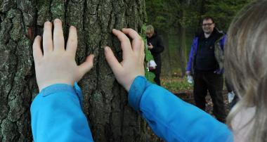 Bäume stehen Sonntag im Fokus eines Naturspaziergangs über das Gelände der Zeche Nachtigall.<br>Foto: LWL / Appelhans
