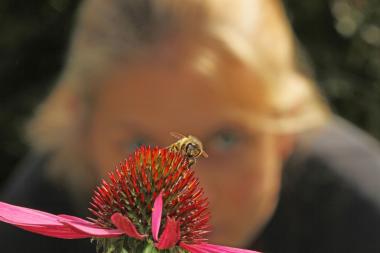 Der Schutz der Wildbienen steht im Onlinekurs am Samstag im Mittelpunkt.<br>Foto: LWL/Jähne