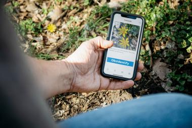 Mit der Bestimmungs-App ObsIdentify lassen sich Naturbeobachtungen ganz einfach mit dem Smartphone bestimmen und melden.<br>Foto: LWL/Steinweg