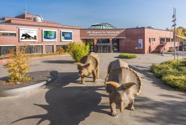 In den 18 Museen des LWL sowie in den Besucherzentren am Kahlen Asten und am Kaiser-Wilhelm-Denkmal in Porta Westfalica gelten ab Donnerstag (26.8.) die "3G"-Regeln zum Schutz vor dem Corona-Virus.<br>Foto: LWL/Steinweg