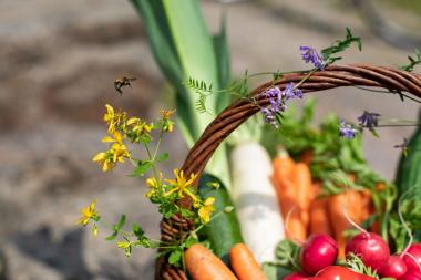 Der Ökomarkt lockt mit seinem regionalen Angebot zum 11. Mal in das LWL-Industriemuseum Zeche Nachtigall.&lt;br&gt;Foto: LWL/Gehrmann 