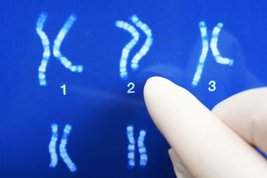 Chromosomen enthalten die Gene eines Individuums. Die Gene stehen im Zentrum der neuen Sonderausstellung im LWL-Museum für Naturkunde.&lt;br&gt;Foto: Dan Race - stock.adobe.com 