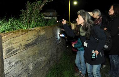 Im Schein der Taschenlampe beobachten Gäste gemeinsam mit Naturführerin Birgit Ehses nachaktive Tiere.&lt;br&gt;Foto: LWL / Appelhans 