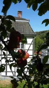 Herbstblick von der Streuobstwiese auf die Blaufärberei.&lt;br&gt;Foto: LWL 