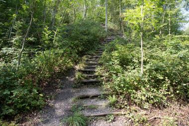 Auf die Halde der Zeche Zollern führt eine Exkursion am Sonntag.&lt;br&gt;Foto: LWL/Hudemann 