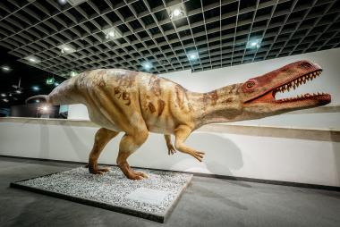 Mehr über Wiehenvenator und Co. erfahren die Gäste in der neuen Dinosaurier-Schau &quot;The &quot;Big 5+&quot; im LWL-Museum für Naturkunde.&lt;br&gt;Foto: LWL/Steinweg 