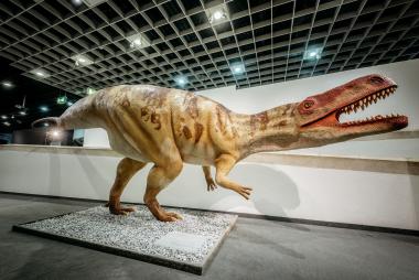 Mehr über Wiehenvenator und Co. erfahren die Gäste in der neuen Dinosaurier-Schau &quot;The &quot;Big 5+&quot; im LWL-Museum für Naturkunde.&lt;br&gt;Foto: LWL/Steinweg 
