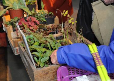 Beim Garten- und Erntemarkt auf der Zeche Zollern bieten private Anbieter Pflanzen und Leckereien aus dem eigenen Garten an.&lt;br&gt;Foto: LWL/Appelhans 