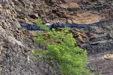 Bei der Führung erkunden Besucher Bodenschätze wie Kohle, Schieferton und Sandstein.&lt;br&gt;Foto: LWL / Linke 