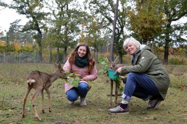 Freuen sich über den Einzug von Fritzi und Nala: Das Team der Tiergestützten Therapie Michelle Bollert und Petra Wiethoff. Es fehlt Elke Bein.&lt;br&gt;Foto: LWL/Seifert 