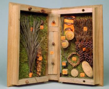 Am 16. November erklärt Dr. Bernd Tenbergen in seinem Vortrag, was es mit Xylotheken und Herbarien auf sich hat.&lt;br&gt;Foto: LWL/Tenbergen 