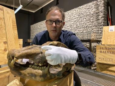 Aus ungewöhnlichen Perspektiven entdecken Besucher:innen die Exponate der Dauerausstellung in den Hybridführungen, analog und digital.<br>Foto: LWL/ A. Burmann