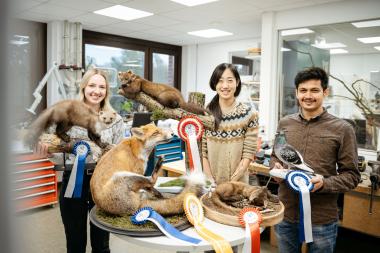 Die Präparator:innen im LWL-Museum für Naturkunde Leah Witnick, Narumi Sato und Aminul Islam (von links nach rechts) wurden ausgezeichnet.&lt;br&gt;Foto: LWL/Steinweg 