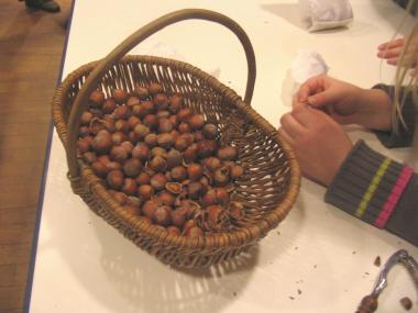 Auch Haselnüsse eignen sich gut zum Basteln.<br>Foto: LWL / Appelhans