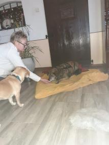 Brownie fühlt sich wohl und nimmt schon Kontakt auf.<br>Foto: privat