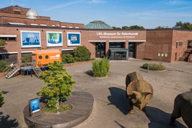 Das LWL-Museum für Naturkunde blickt trotz Pandemie auf ein erfolgreiches Jahr zurück.<br>Foto: LWL/Steinweg