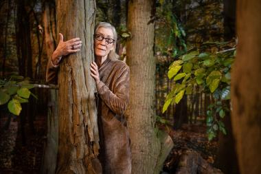Ein literarischer Waldspaziergang in der Sonderausstellung "Alleskönner Wald" können Interessierte im LWL-Museum für Naturkunde erleben.<br>Foto: LWL/Steinweg