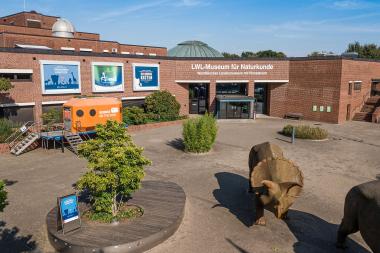Ab dem 2. Juli öffnet das Planetarium im LWL-Museum für Naturkunde wieder seine Türen, um mit Besucher:innen in die Weiten des Weltalls zu fliegen.<br>Foto: LWL/Steinweg