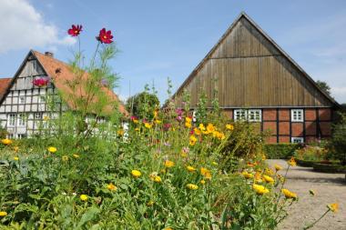 Am Sonntag ist der Eintritt ins LWL-Freilichtmuseum Detmold frei.<br>Foto: LWL/Sanchez