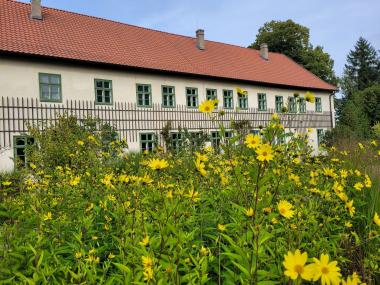 Der Garten des Herrenhauses mit seiner Blütenpracht ist ein Paradies für Bienen.<br>Foto: LWL