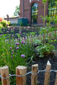Der Arbeitergarten vor den Toren der Zeche Zollern.<br>Foto: LWL / Dierkes