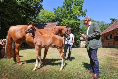 Stephan Prinz zur Lippe (rechts) freut sich bei der Fohlentaufe über den Nachwuchs der Senner Pferde aus der Zucht des LWL-Freilichtmuseums Detmold.<br>Foto: LWL/Gerstendorf-Welle